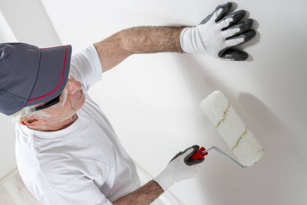 Best Wallpaper Removal and Painting  in Clarendon Hls, IL